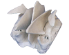 Amplified Ethmoid Bone