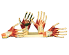 Palm Anatomy