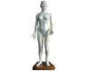 Human Acupuncture Manikin