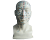 Acupuncture Head