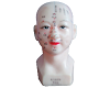 Acupuncture Head