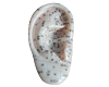 Acupuncture Ear