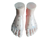 Acupuncture Foot