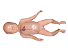 Advanced Neonatal Peripheral and Central Vein Intubation Model
