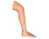 Advanced Surgical Suture Leg